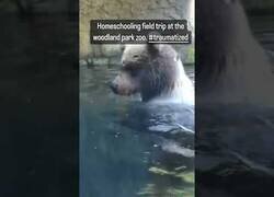 Enlace a Visita al zoo con los niños acaba mal