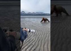 Enlace a Un fotógrafo ahuyenta a gritos a un oso que corría hacia él