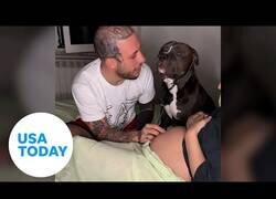 Enlace a La reacción de este perro al escuchar a su hermanito por primera vez