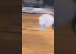 Enlace a Una divertida alternativa a los toros