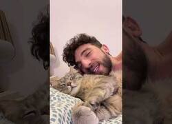 Enlace a El tipo que entablaba conversaciones con su gato