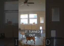 Enlace a Cuando te encuentras tu casa inundada y decides ver la cámara de seguridad