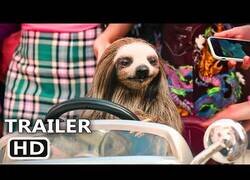 Enlace a El cine estaba pidiendo esto: Llegan los perezosos malvados