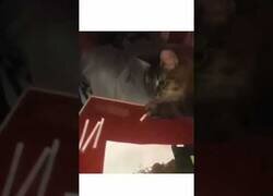 Enlace a El gato que quería fumar