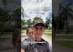 Enlace a Cosas de Estados Unidos que no molan
