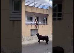 Enlace a Vaca ayuda a un hombre a subir a su terraza