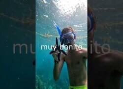 Enlace a Buceando con tiburones en una isla desierta