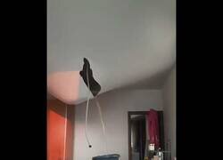 Enlace a Cuando tenéis una pequeña gotera en casa...