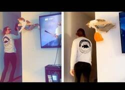 Enlace a El gato que siempre le quitaba el gorro a su dueño