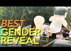 Enlace a Dos bebés gigantes pelean en una revelación de género