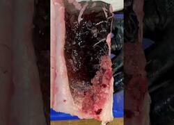 Enlace a Todo lo que necesitas saber sobre el Anisakis