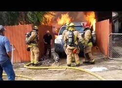 Enlace a Hombre entra en su casa en llamas para salvar a su perro