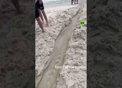 Enlace a Detenido por crear un canal fuera de control en la playa
