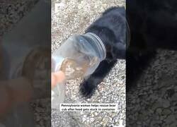 Enlace a Mujer ayuda a un osezno con un bote de plástico en la cabeza