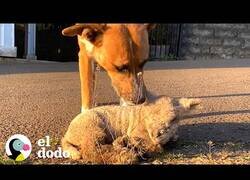 Enlace a El cordero y el perro que estaban enamorados