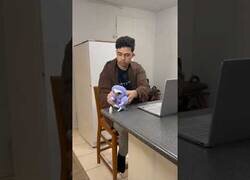 Enlace a El gato que aprendió la lección