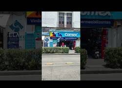 Enlace a Lo pusieron en bandeja...