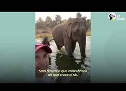 Enlace a Acompañando a una elefante de 49 años en sus primeros pasos en libertad