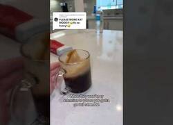 Enlace a Esta pareja tiene activado el modo gato