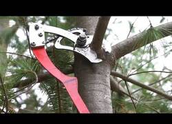 Enlace a Herramientas útiles de las que no conocías su existencia