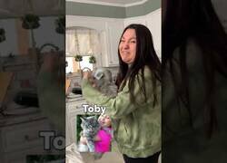 Enlace a La reacción de estas personas al regalarles un peluche de su mascota fallecida