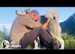 Enlace a Este perro viaja por todo Estados Unidos en moto