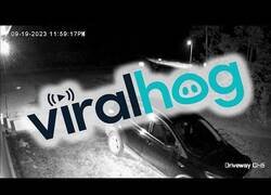 Enlace a Un par de osos consiguen abrir la puerta de un coche