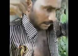 Enlace a Intentan hacer salir una cobra del interior de la camisa de un hombre