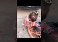 Enlace a Niña le pinta las uñas a una gallina