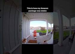 Enlace a Cuando te roban tu paquete de Amazon al estilo dibujos animados