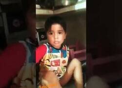 Enlace a Mamá evita que su niño haga puré de gato