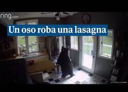 Enlace a Un oso se cuela en una casa y roba una lasaña