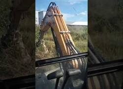 Enlace a Intenta destruir una colmena con una excavadora pero sale mal