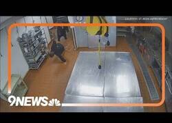 Enlace a Oso sorprende a un vigilante de seguridad tras colarse en la cocina de un hotel