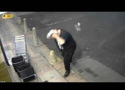 Enlace a Una paloma golpea a un hombre en la cabeza