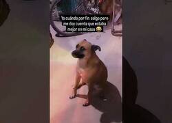 Enlace a Ese momento en el que sabes que no deberías haber salido