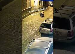 Enlace a Cuando tu perro corre es por algo