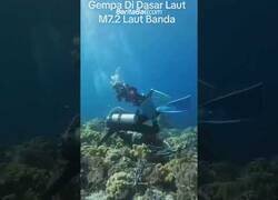 Enlace a Así se vive un terremoto debajo del agua