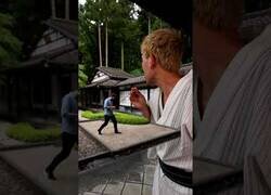 Enlace a Rompiendo la primera regla de los jardines zen