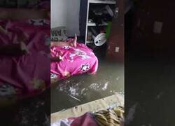 Enlace a Nada más cómodo que pescar desde tu habitación
