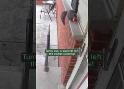 Enlace a Mujer alimenta a una ardilla y esta se lo agradece dejándole una galletita