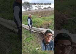 Enlace a ¿Es real esta piel de serpiente gigante encontrada en África?