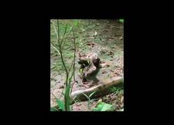 Enlace a Cuando eres un perezoso y todo te da igual