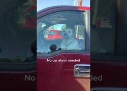 Enlace a Este coche no necesita alarma