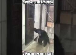 Enlace a Cuando te estás cagando y el baño está ocupado