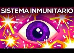 Enlace a Así funciona el sistema del complemento