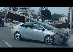 Enlace a Canadienses siendo idiotas