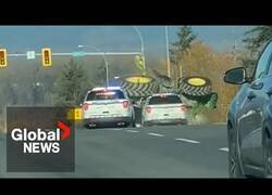 Enlace a Persecución rural vista en Vancouver