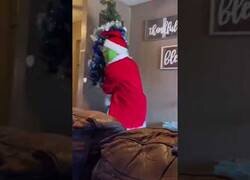 Enlace a El Grinch fastidiando la Navidad de algunos niños