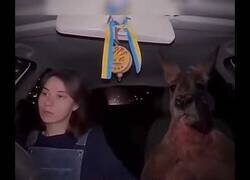 Enlace a Así surgió una bonita amistad